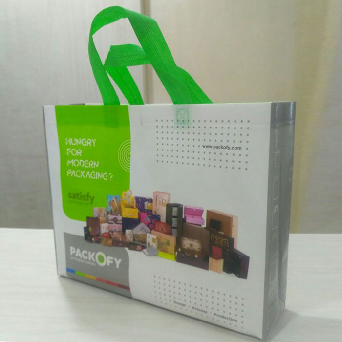 non-woven-loop-handle-bag